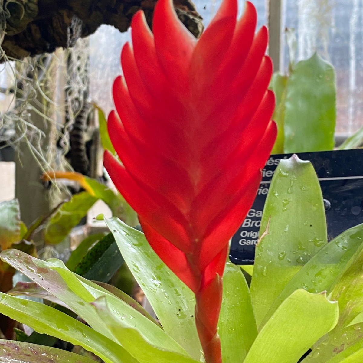 Montreal’s Botanical Garden