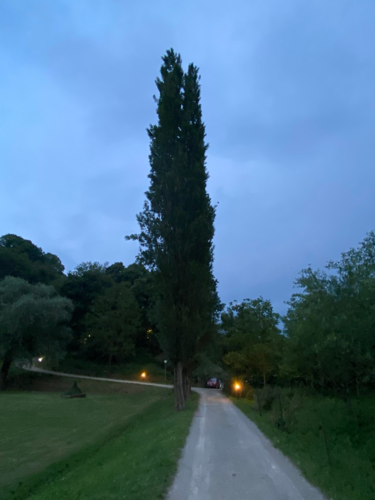Walkway curving towards Porta Romana
